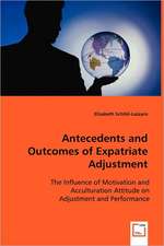 Antecedents and Outcomes of Expatriate Adjustment