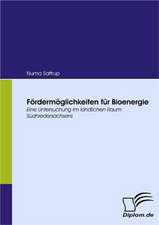 Furderm Glichkeiten Fur Bioenergie: Vertikale Versus Horizontale Integration