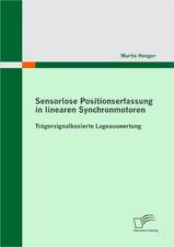 Sensorlose Positionserfassung in Linearen Synchronmotoren