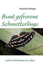 Bunt gefrorene Schmetterlinge