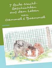 7 Gutenacht-Geschichten Aus Dem Leben Von Oemmel & Boemmel: Innovation Im Rahmen Des Europ Ischen Sozialfonds