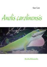 Anolis Carolinensis: Schnellkurs Borsenhandel