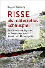 Risse als materielles Schauspiel