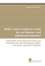 KLRG1 und E-Cadherin, mehr als nur Marker- und Adhäsionsmoleküle?