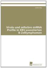 Virale Und Zellulare Mirna Profile in Ebv-Assoziierten B-Zelllymphomen: Wenn Patienten Sich Krank Machen