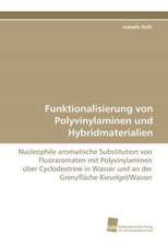 Funktionalisierung von Polyvinylaminen und Hybridmaterialien