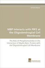 MBP Interacts with Pip2 at the Oligodendroglial Cell Membrane: From Bulk to Heterostructures