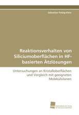 Reaktionsverhalten von Siliciumoberflächen in HF-basierten Ätzlösungen