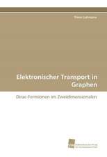 Elektronischer Transport in Graphen