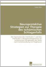 Neuroprotektive Strategien zur Therapie des ischämischen Schlaganfalls