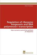 Regulation of Ribosome Biogenesis and RNA Polymerase I Transcription: Verlaufsbeobachtung Nach Nierentransplantation