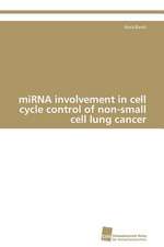 Mirna Involvement in Cell Cycle Control of Non-Small Cell Lung Cancer: From Tissues to Atoms