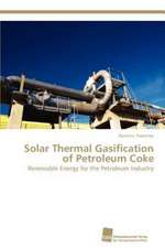 Solar Thermal Gasification of Petroleum Coke