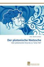 Der Platonische Nietzsche: Measurement and Source Allocation