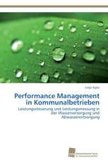 Performance Management in Kommunalbetrieben