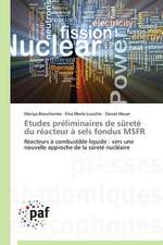 Etudes préliminaires de sûreté du réacteur à sels fondus MSFR