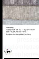 Modélisation du comportement des structures souples