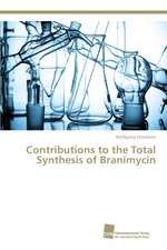 Contributions to the Total Synthesis of Branimycin