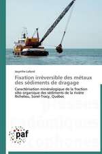 Fixation irréversible des métaux des sédiments de dragage