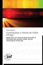 Contribution à l'étude de l'effet mirage