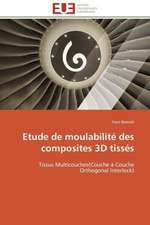 Etude de Moulabilite Des Composites 3D Tisses: Syndrome de La Modernite Dans Les Fleurs Du Mal