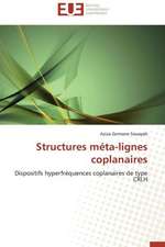 Structures Meta-Lignes Coplanaires: Mythe Ou Realite?