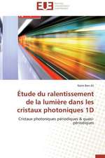 Etude Du Ralentissement de La Lumiere Dans Les Cristaux Photoniques 1d