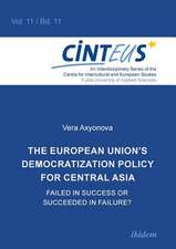 The European Union's Democratization Policy for Central Asia: