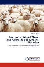 Chanie, M: Lesions of Skin of Sheep and Goats due to Externa