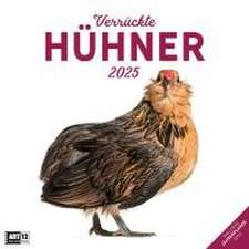 Ackermann Kunstverlag: Verrückte Hühner Kalender 2025 - 30x3