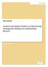 Analyse unscharfer Ansätze zur Bewertung strategischer Risiken im industriellen Bereich