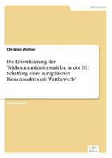 Die Liberalisierung der Telekommunikationsmärkte in der EG: Schaffung eines europäischen Binnenmarktes mit Wettbewerb?