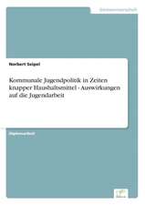 Kommunale Jugendpolitik in Zeiten knapper Haushaltsmittel - Auswirkungen auf die Jugendarbeit