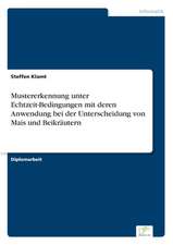 Mustererkennung unter Echtzeit-Bedingungen mit deren Anwendung bei der Unterscheidung von Mais und Beikräutern