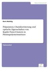 Präparation, Charakterisierung und optische Eigenschaften von Kupfer-Nano-Clustern in Plasmapolymermatrizen