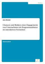 Chancen und Risiken eines Engagements von Unternehmen als Programmanbieter im interaktiven Fernsehen