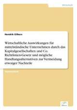 Wirtschaftliche Auswirkungen für mittelständische Unternehmen durch das Kapitalgesellschaften und Co. Richtlinien-Gesetz und mögliche Handlungsalternativen zur Vermeidung etwaiger Nachteile