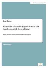 Männliche türkische Jugendliche in der Bundesrepublik Deutschland