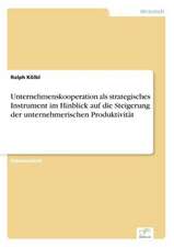 Unternehmenskooperation als strategisches Instrument im Hinblick auf die Steigerung der unternehmerischen Produktivität