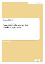 Organisatorische Aspekte des Projektmanagements