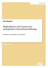 Möglichkeiten und Grenzen der strategischen Unternehmensführung