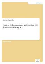 Control Self-Assessment und Section 404 des Sarbanes-Oxley Acts