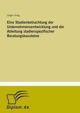 Eine Stadienbetrachtung der Unternehmensentwicklung und die Ableitung stadienspezifischer Beratungsbausteine