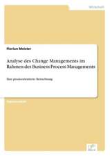 Analyse des Change Managements im Rahmen des Business Process Managements