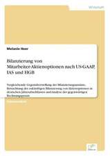 Bilanzierung Von Mitarbeiter-Aktienoptionen Nach Us-GAAP, IAS Und Hgb: Messung Des E-Business-Erfolges