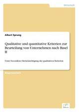 Qualitative Und Quantitative Kriterien Zur Beurteilung Von Unternehmen Nach Basel II: Messung Des E-Business-Erfolges