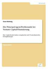 Die Principal Agent-Problematik Bei Venture Capital-Finanzierung