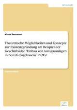 Theoretische Moglichkeiten Und Konzepte Zur Existenzgrundung Am Beispiel Der Geschaftsidee 'Einbau Von Autogasanlagen in Bereits Zugelassene Pkws': Goodwill and Other Intangible Assets