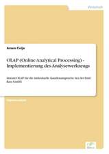 OLAP (Online Analytical Processing) - Implementierung Des Analysewerkzeugs: The Effects of Prejudice and Power on Information Seeking, Employee Evaluation, Task Assignment, and Estimates of Empl