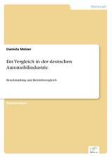 Ein Vergleich in Der Deutschen Automobilindustrie: Ein Multi-Ziel-Optimierungsansatz